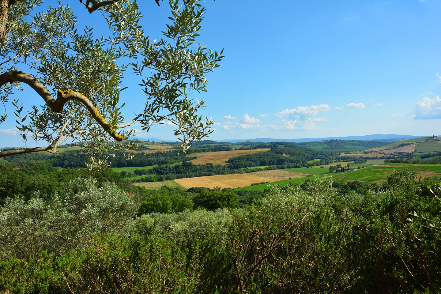 Crete Senesi Toscana Poggio Il Poderuccio