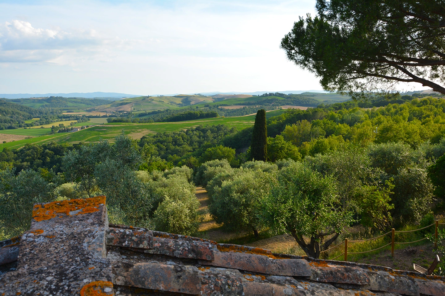 Sienna landscape