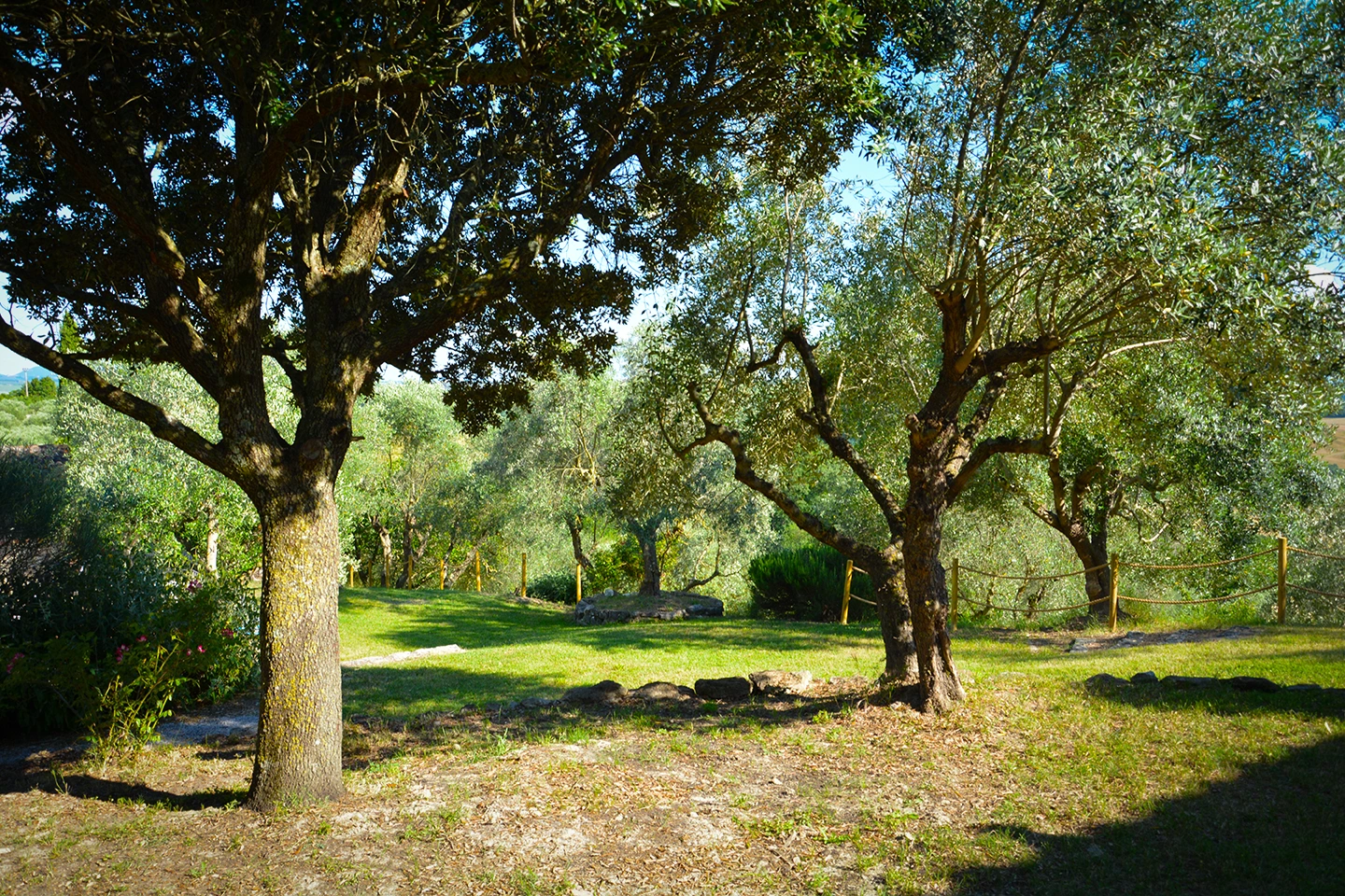holidays in tuscany