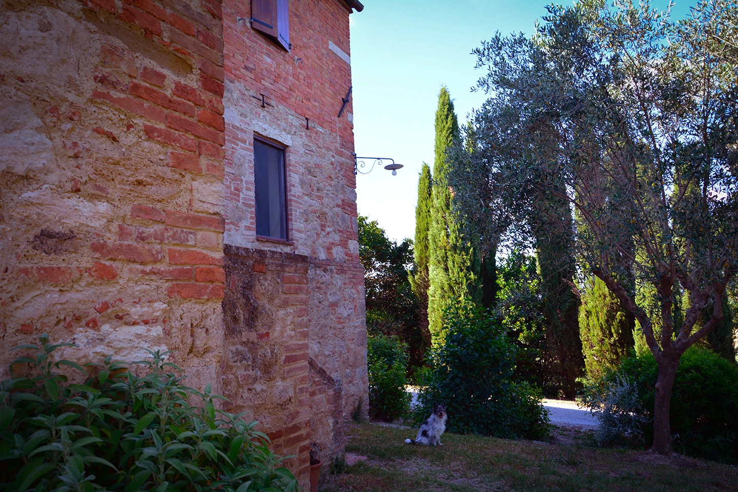 poggio il poderuccio appartamenti