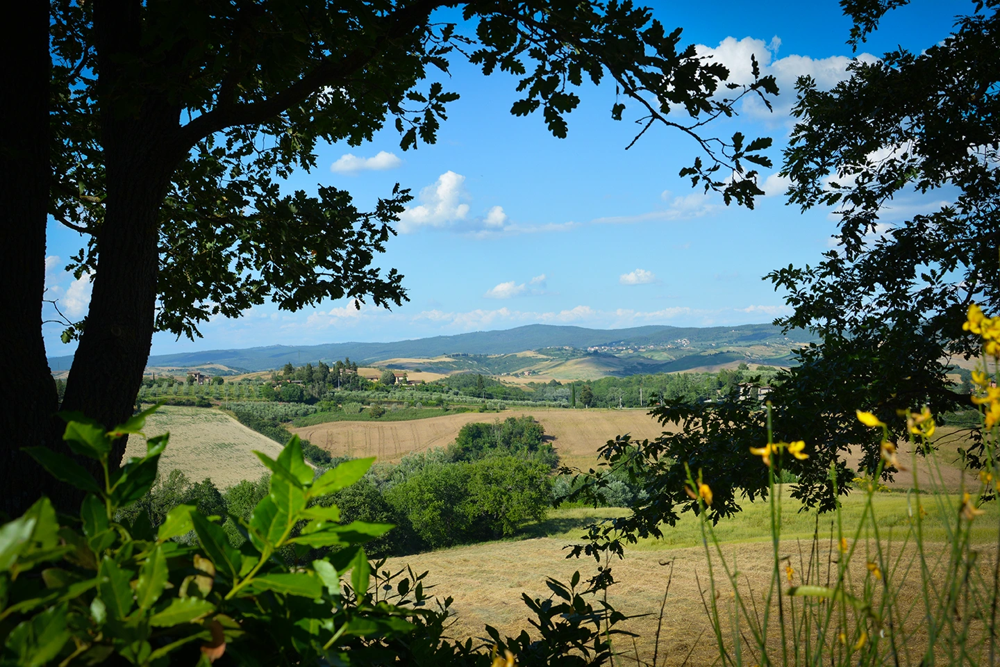 tuscany villa holidays with view