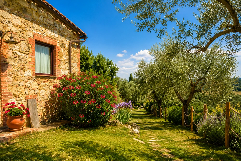 Locazione turistica Asciano