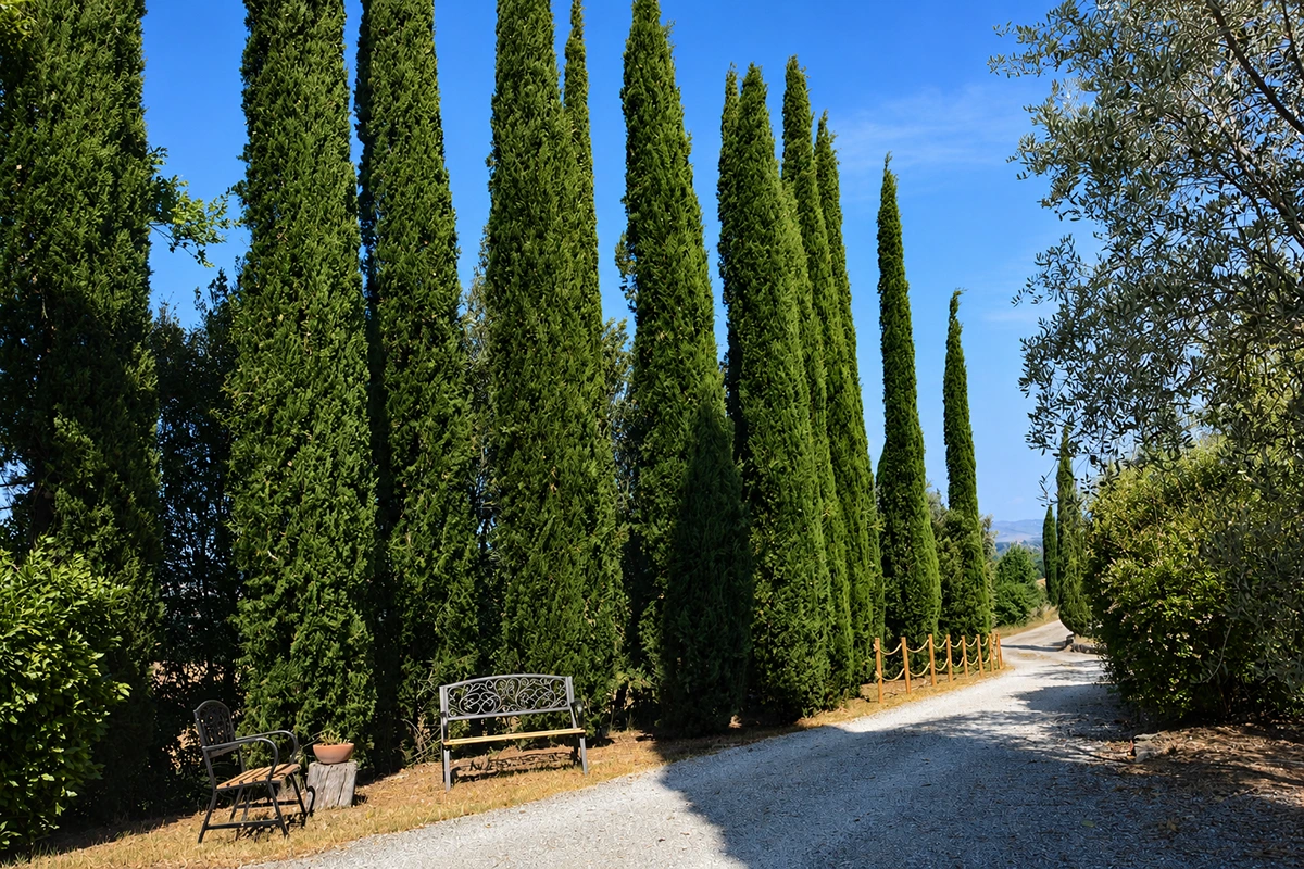 asciano bed and breakfast toscana siena
