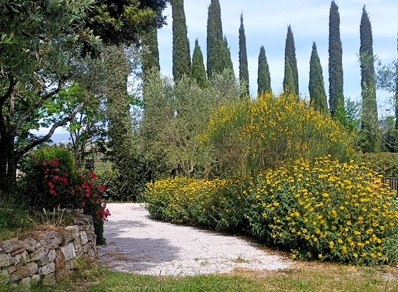 asciano bnb exterior