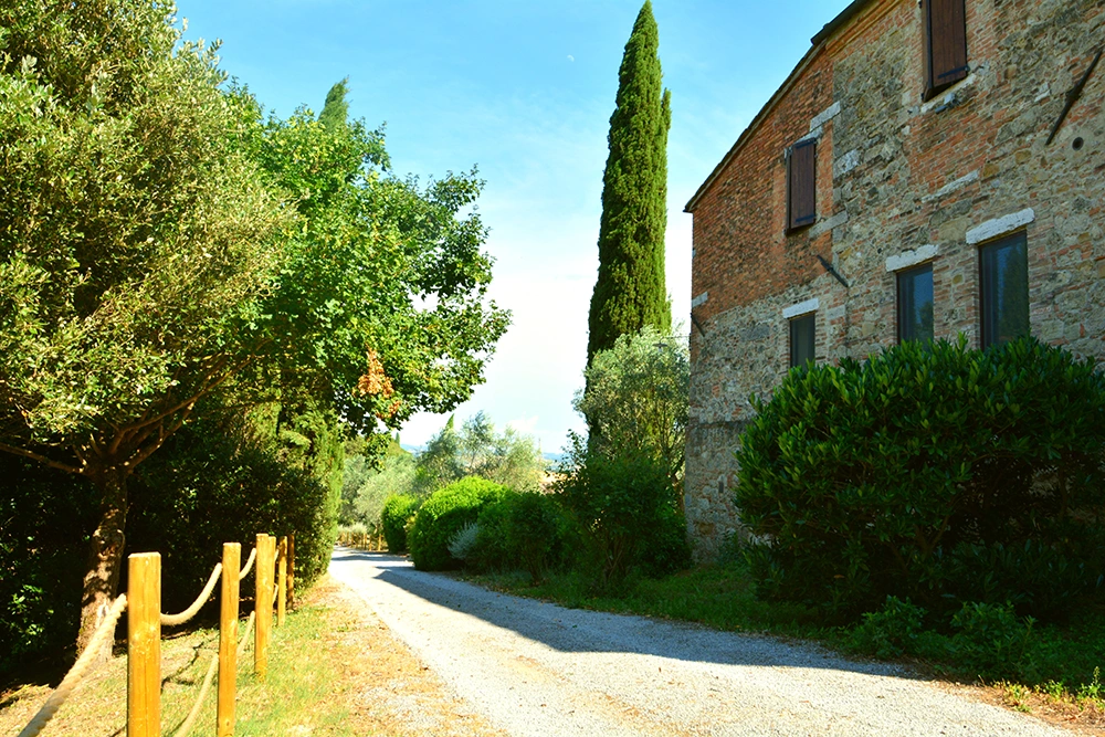 asciano holiday apartments