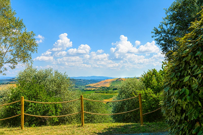 asciano panorama poggio il poderuccio