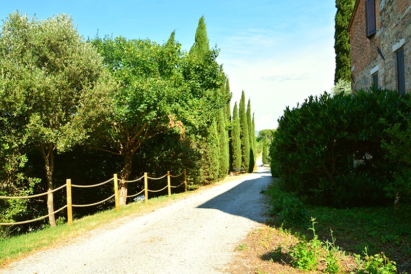 asciano tuscany accommodation