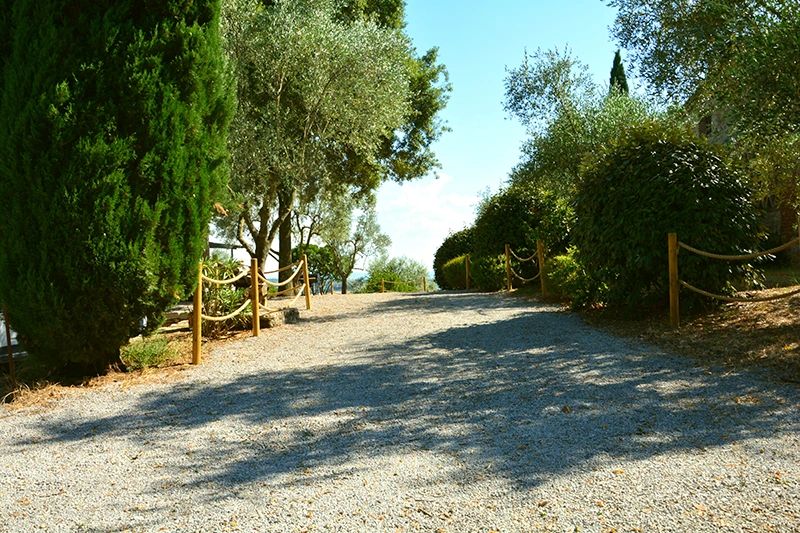 asciano tuscany bnb