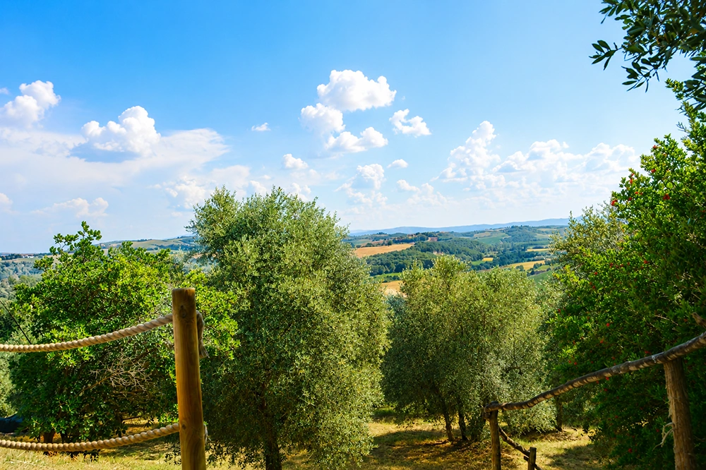 crete senesi landscape tuscany poggio il poderuccio
