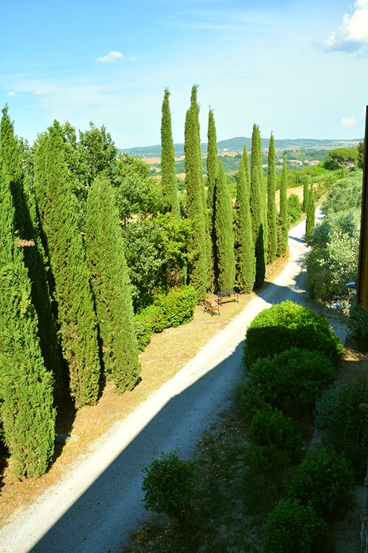 poggio il poderuccio asciano bed and breakfast