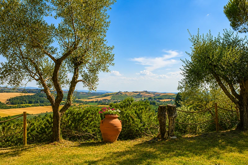 poggio il poderuccio panorama asciano siena