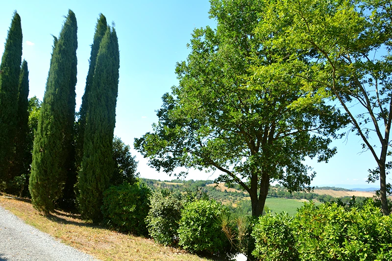 poggio il poderuccio vacanze in toscana