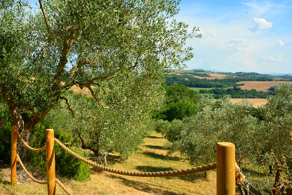 tuscany farmhouse poggio il poderuccio