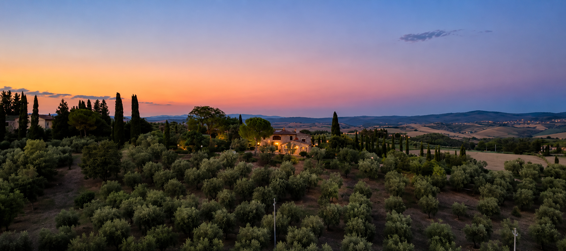 poggio-il-poderuccio-uliveto-crepuscolo-01