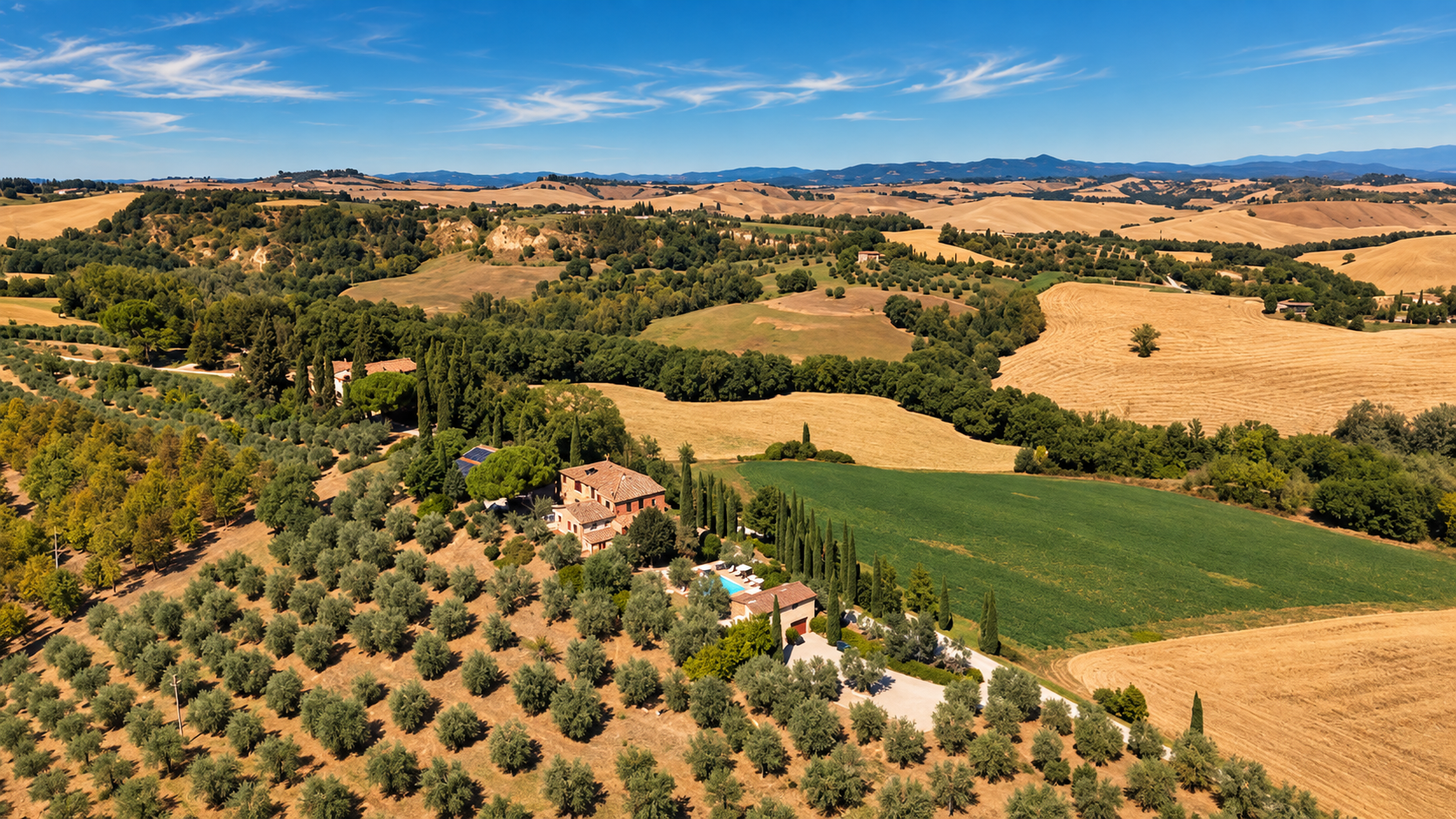 poggio-il-poderuccio-veduta-aerea-uliveto-campi-01